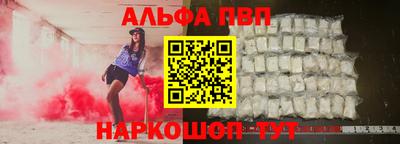 тгк Кингисепп