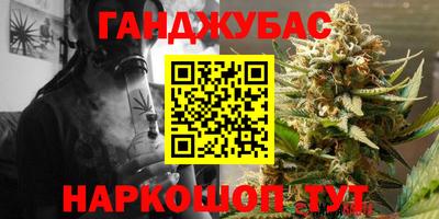 тгк Кингисепп
