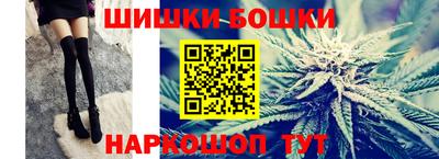 тгк Кингисепп