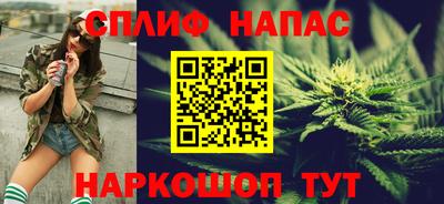 тгк Кингисепп