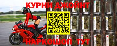тгк Кингисепп