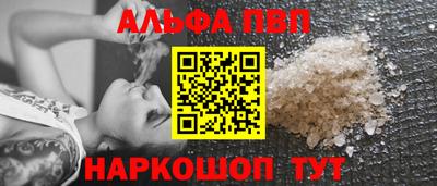 тгк Кингисепп