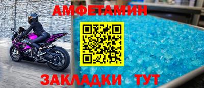 тгк Кингисепп