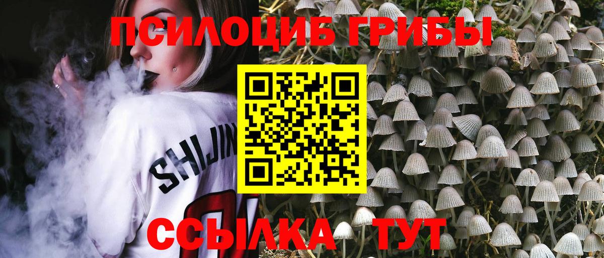 Псилоцибиновые грибы MAGIC MUSHROOMS Тутаев